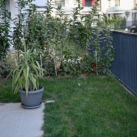 #Minehouse Appartement Timişoara Buitenkant foto