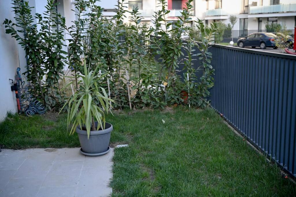 #Minehouse Appartement Timişoara Buitenkant foto
